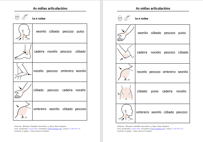 APRENDO, LEO E ESCRIBO VOCABULARIO SOBRE AS ARTICULACIÓNS.